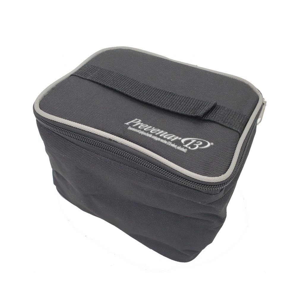 Lunch Cooler Bag