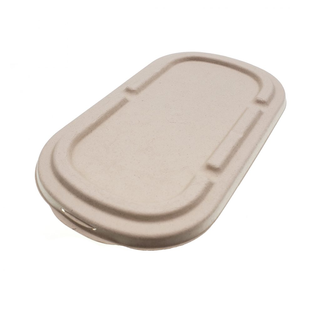 Disposable Bayasse Pulp Paper Food Box