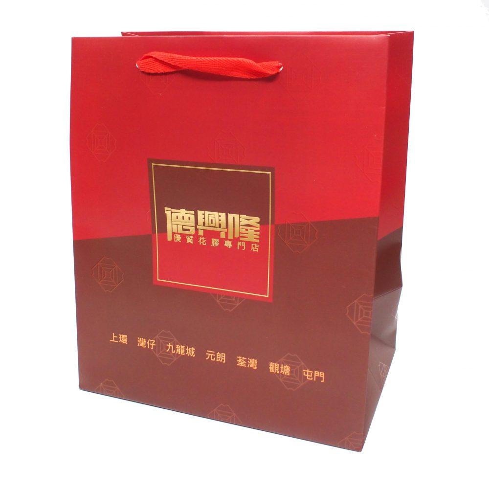 Paper Carrier Bag with V-Shape Ribbon