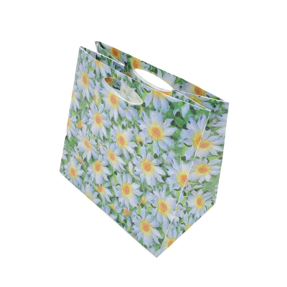 Punch Hole Handle Plastic Bag