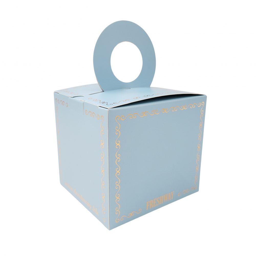Auto Bottom Card Box with Diecut Handle